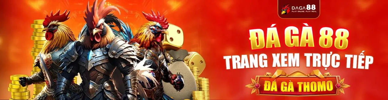 Đá gà kịch tính tại i999 chính thức